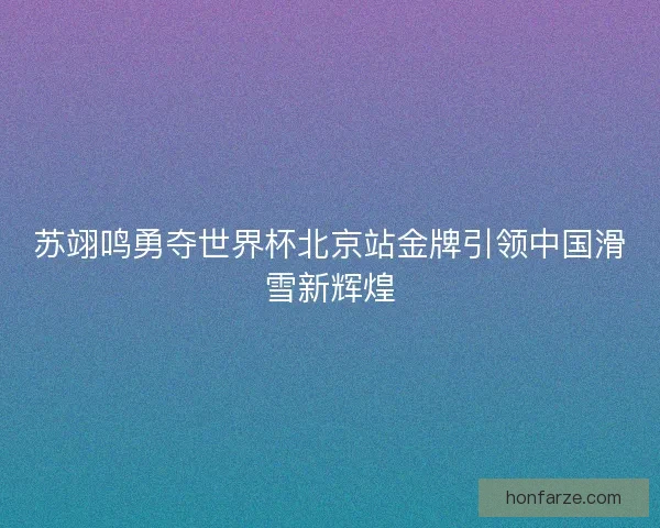 苏翊鸣勇夺世界杯北京站金牌引领中国滑雪新辉煌